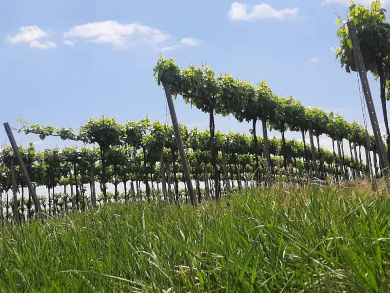 Wanderpuzzle Wolkersdorf